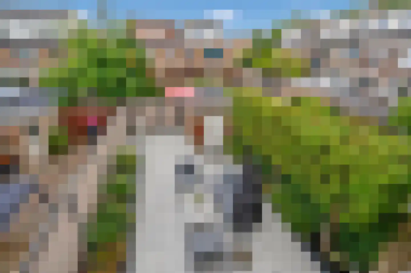 Cortenaerstraat 4 Leidschendam thumbnail 33