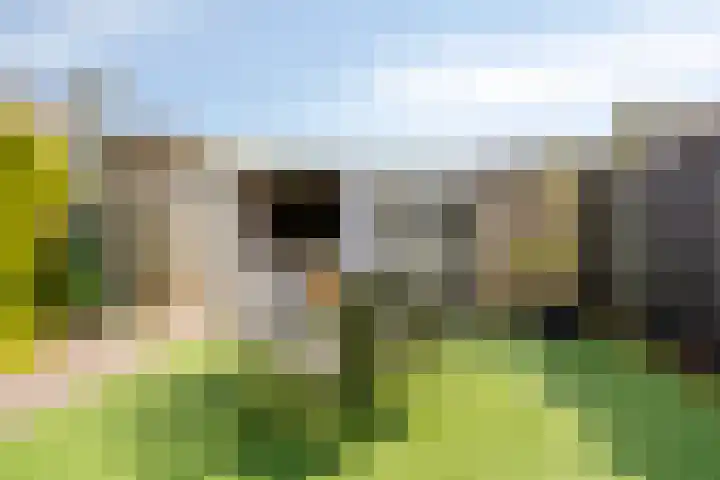 Cortenbachstraat 13 Gemert thumbnail 32