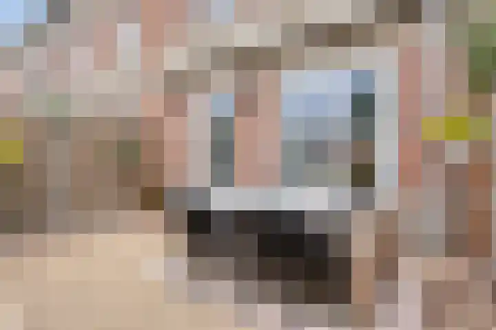 Cortenbachstraat 14 Helmond thumbnail 29