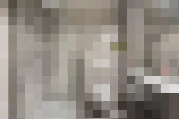 Cortenbachstraat 14 Helmond thumbnail 5