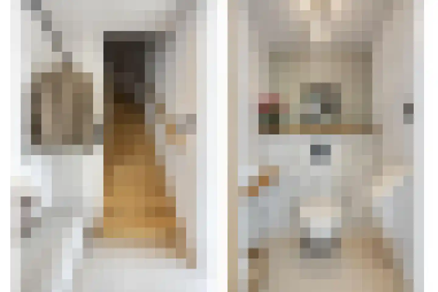 Cortenbachstraat 19 Gemert thumbnail 12