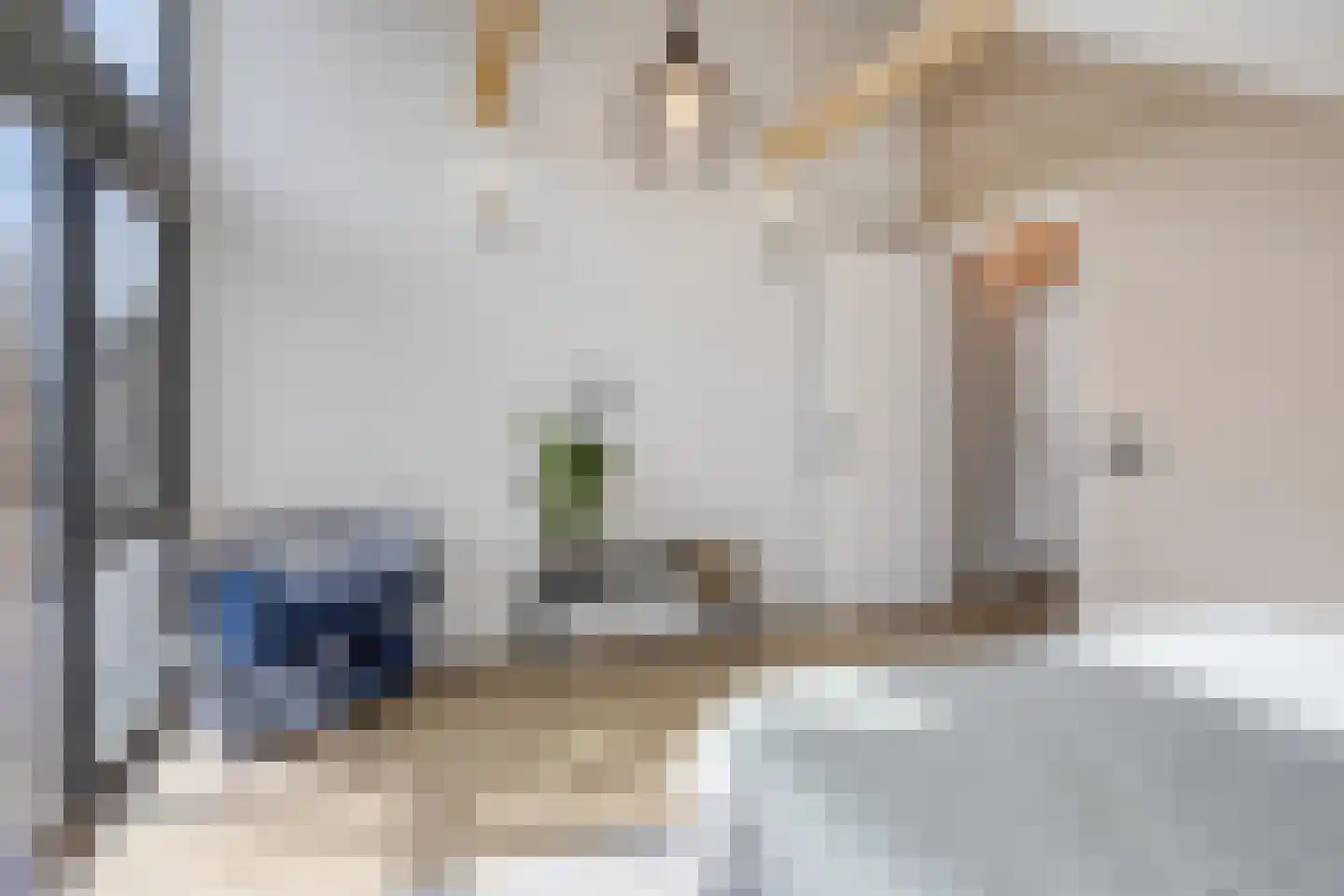 Cortenbachstraat 19 Gemert thumbnail 16