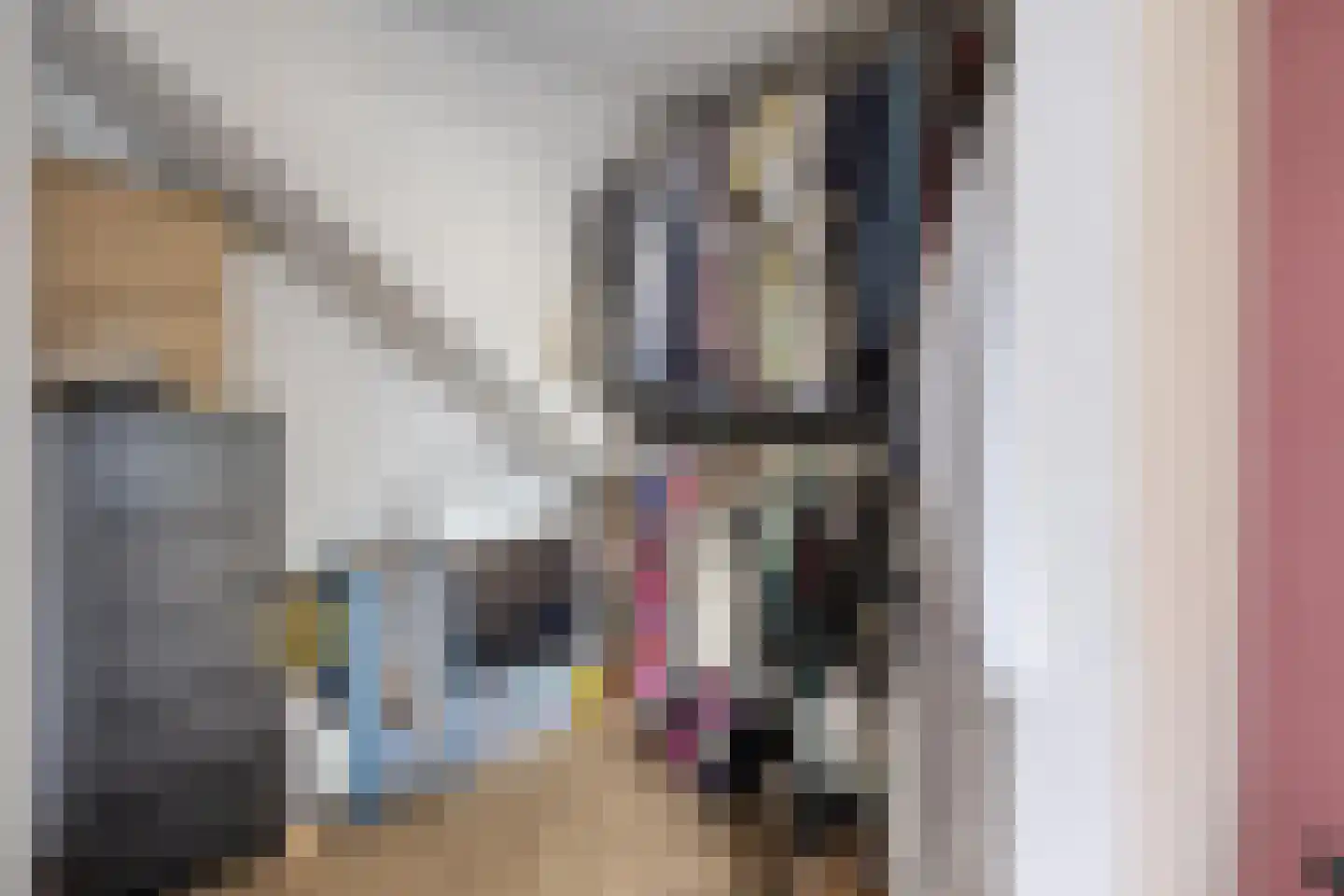 Cortenbachstraat 19 Gemert thumbnail 17