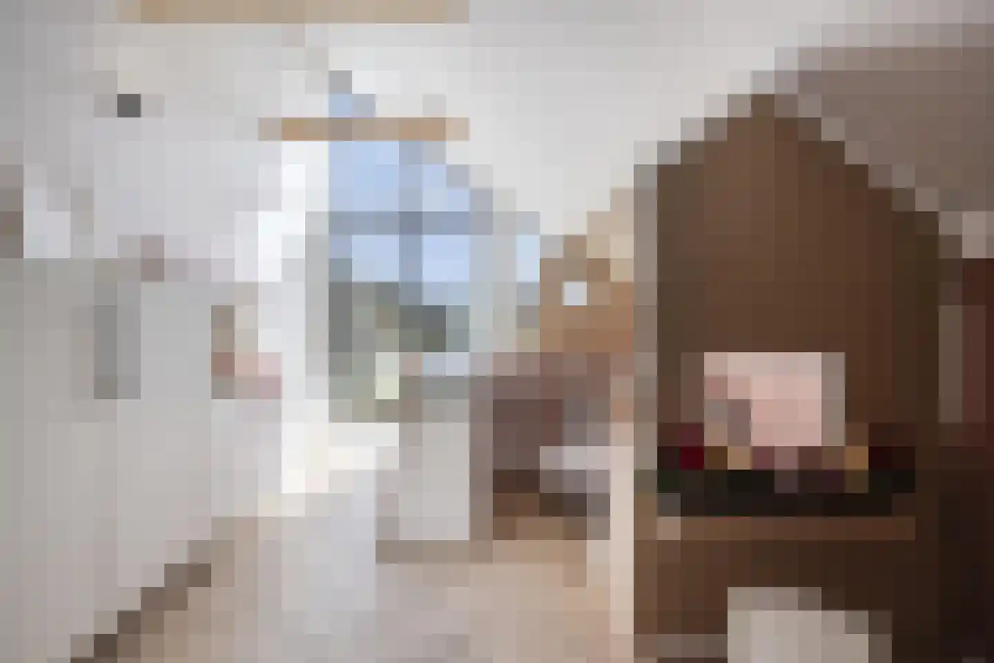 Cortenbachstraat 19 Gemert thumbnail 18