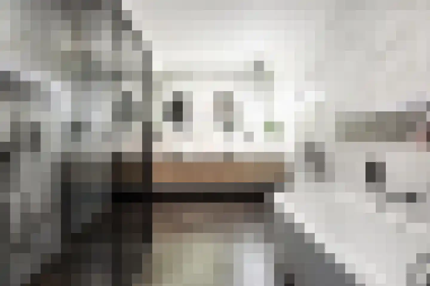 Cortenbachstraat 19 Gemert thumbnail 21