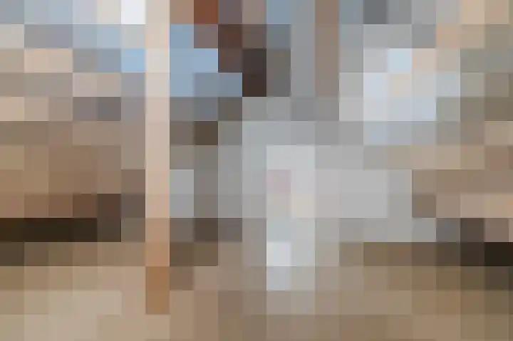 Cortenbachstraat 38 Gemert thumbnail 35