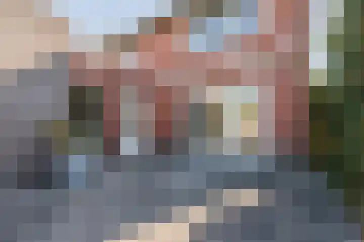 Cortenbachstraat 38 Gemert thumbnail 38