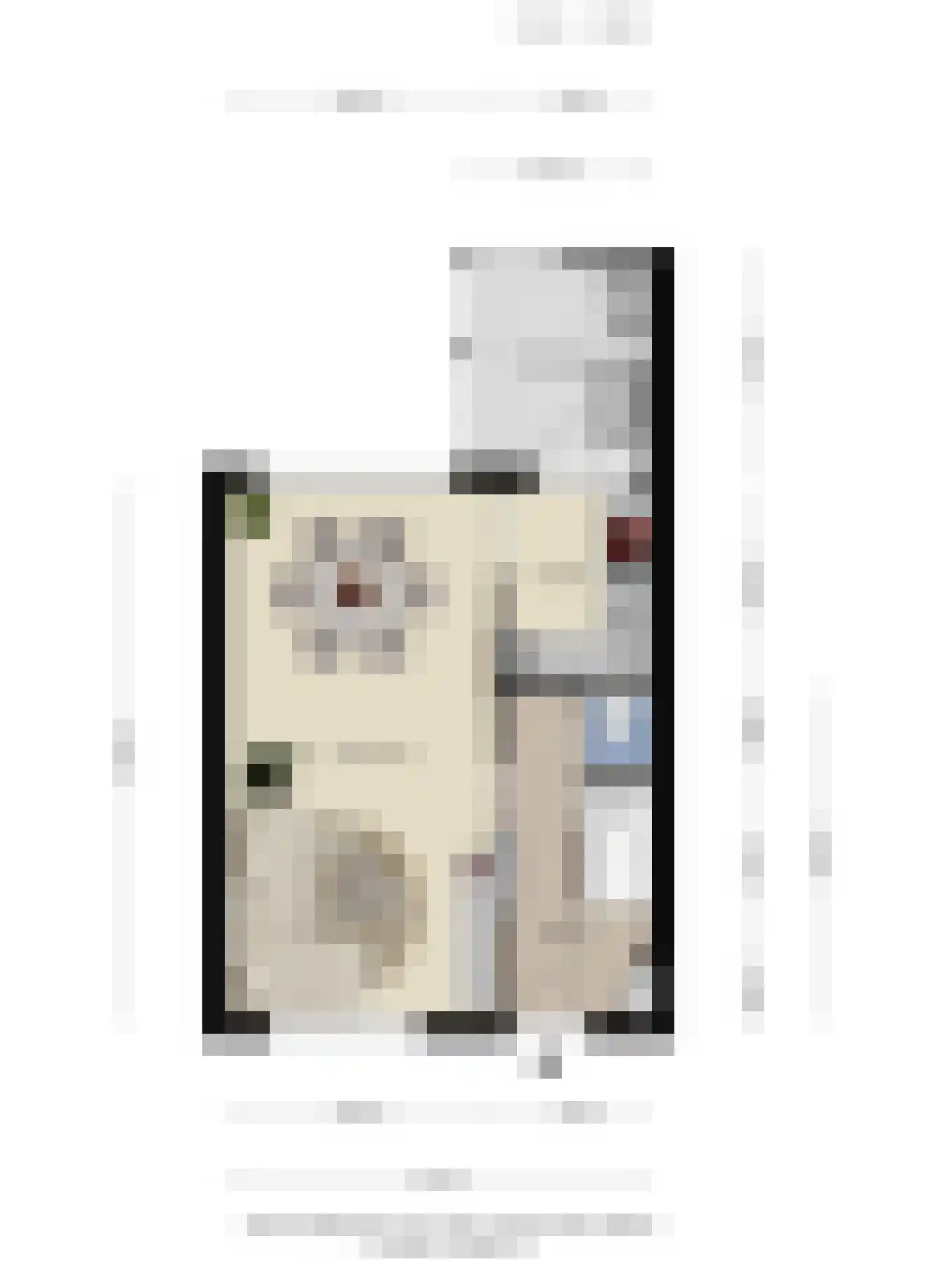 Cortenbachstraat 59 Helmond thumbnail 38