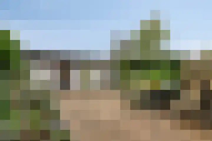 Cortenhoeve 16 Bodegraven thumbnail 10