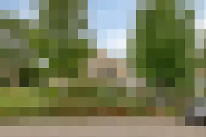 Cortenhoeve 16 Bodegraven thumbnail 29
