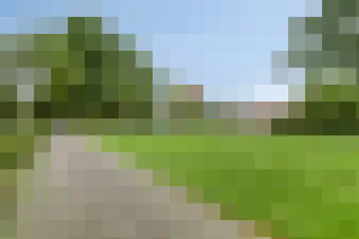 Cortenhoeve 16 Bodegraven thumbnail 30