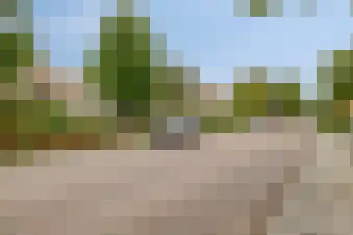 Cortenhoeve 16 Bodegraven thumbnail 31