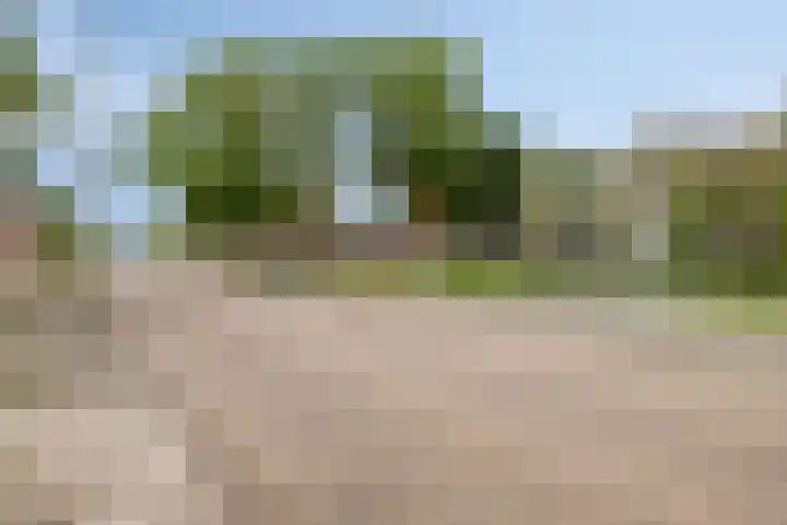 Cortenhoeve 16 Bodegraven thumbnail 32