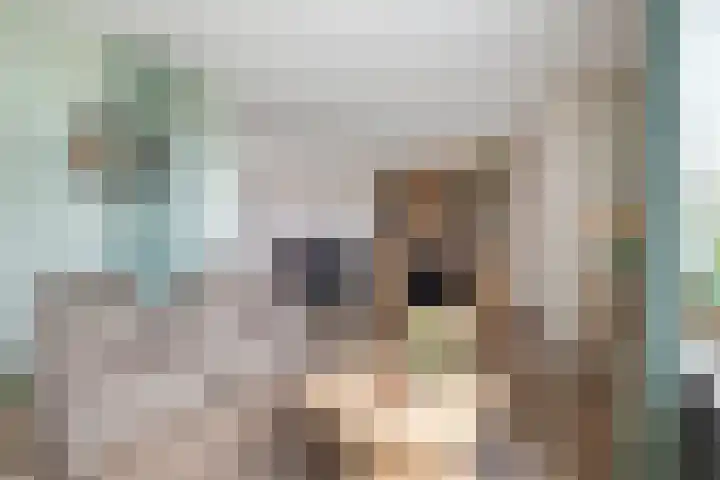 Cortenhoeve 16 Bodegraven thumbnail 6