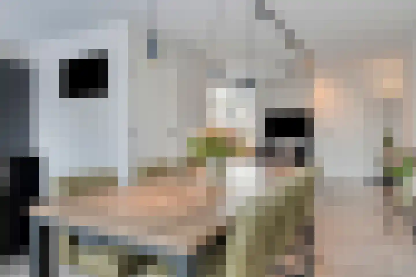 Cortenhoeve 26 Bodegraven thumbnail 19