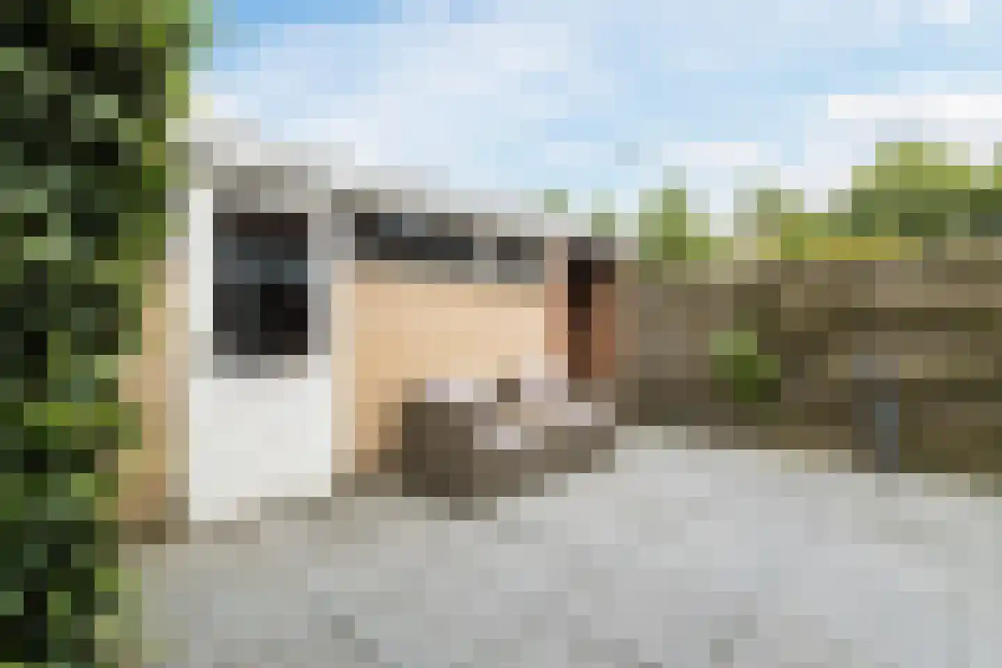 Cortenhoeve 72 Bodegraven thumbnail 35