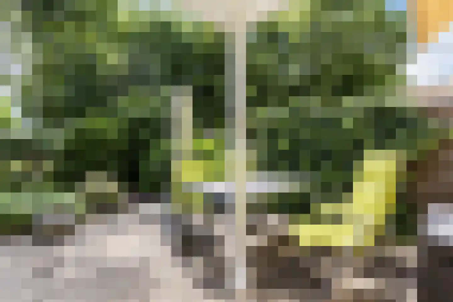 Cortenhoeve 72 Bodegraven thumbnail 38