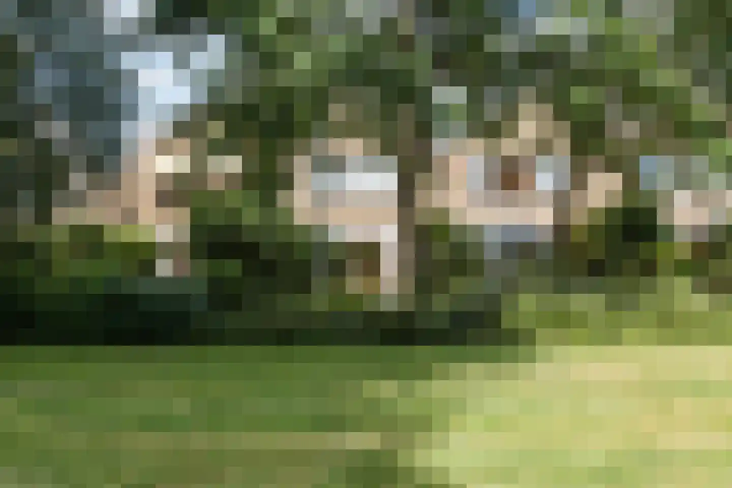 Cortenhoeve 72 Bodegraven thumbnail 39