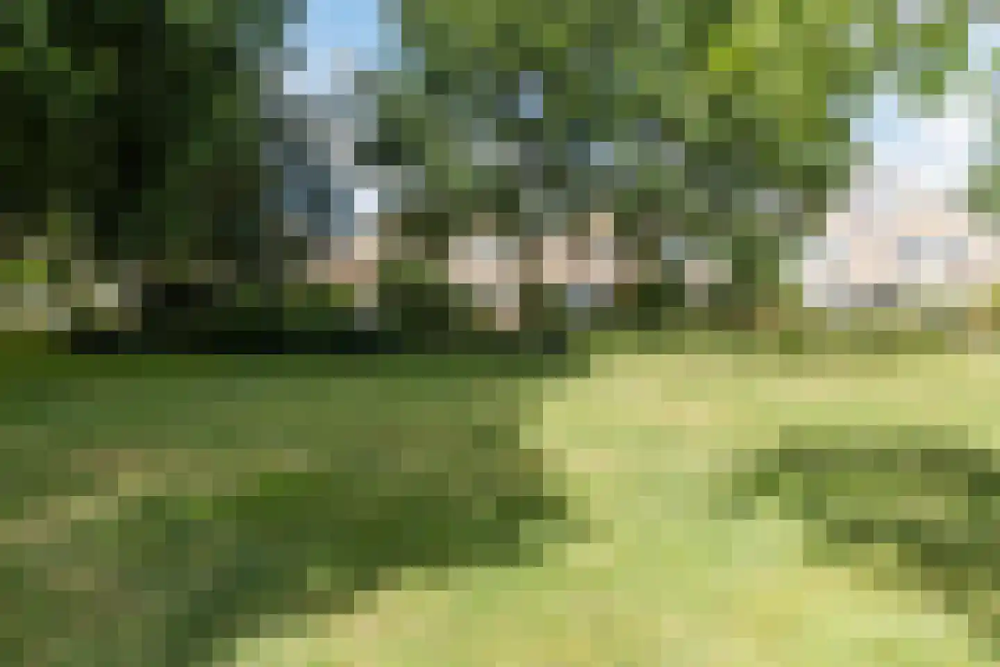 Cortenhoeve 72 Bodegraven thumbnail 43
