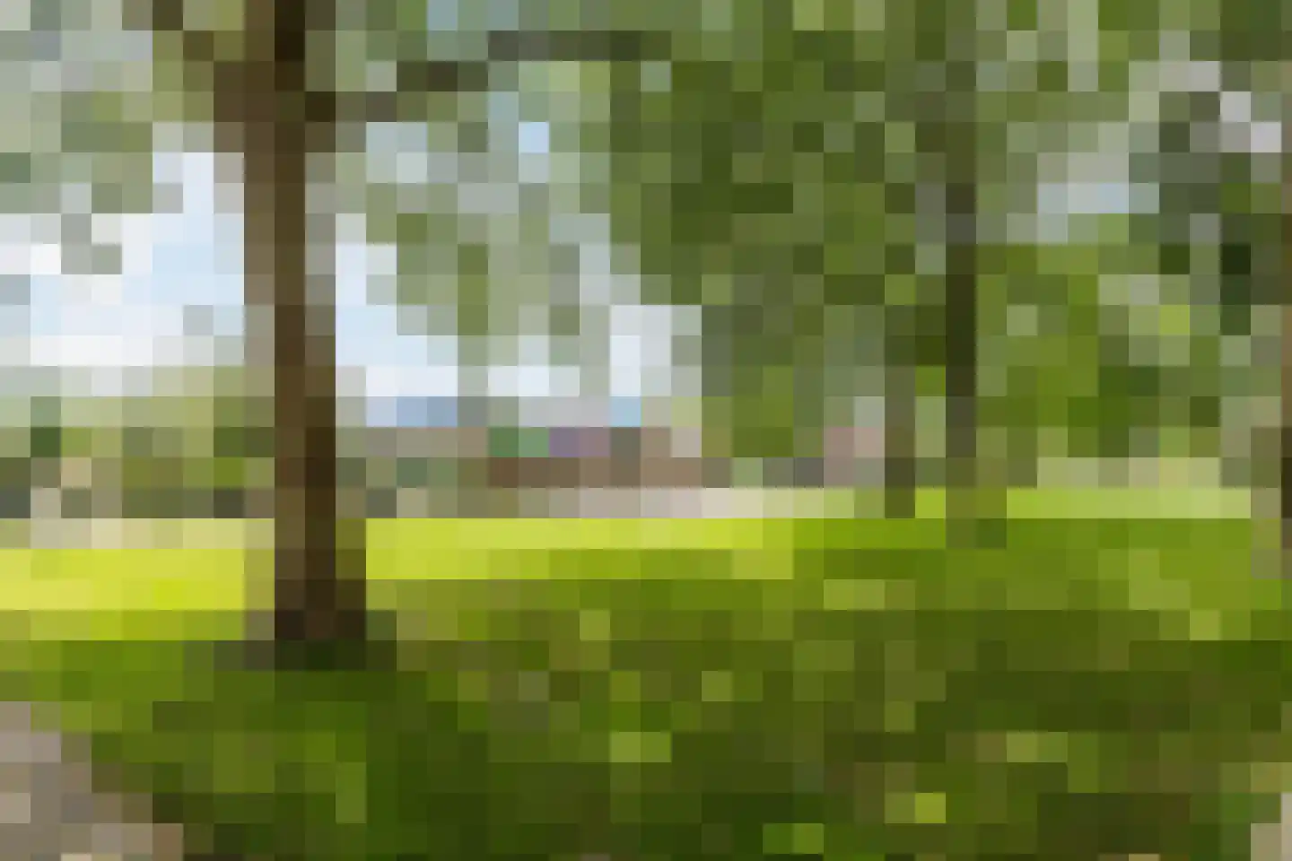 Cortenhoeve 72 Bodegraven thumbnail 45