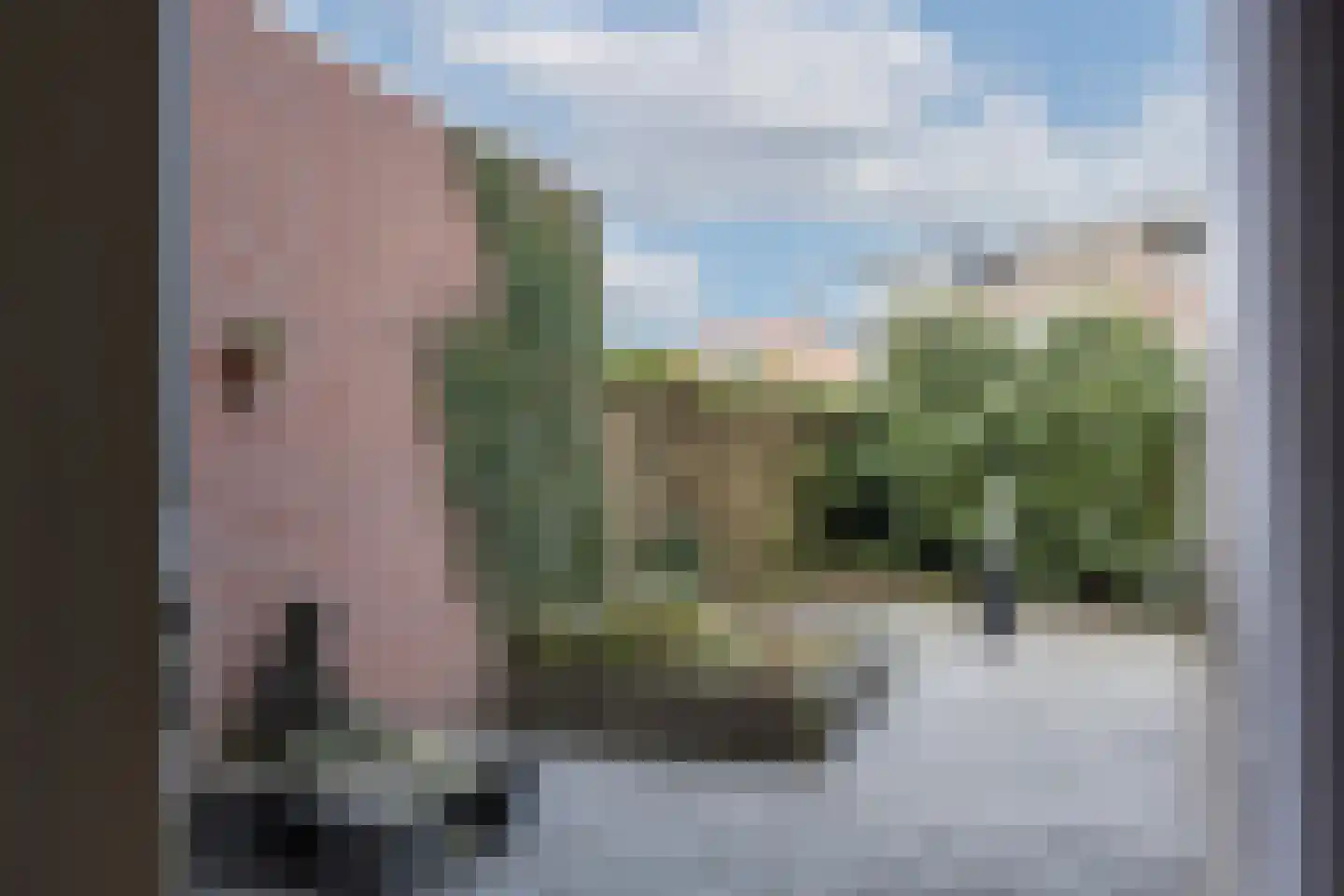 Cortenoeverseweg 21 Brummen thumbnail 21