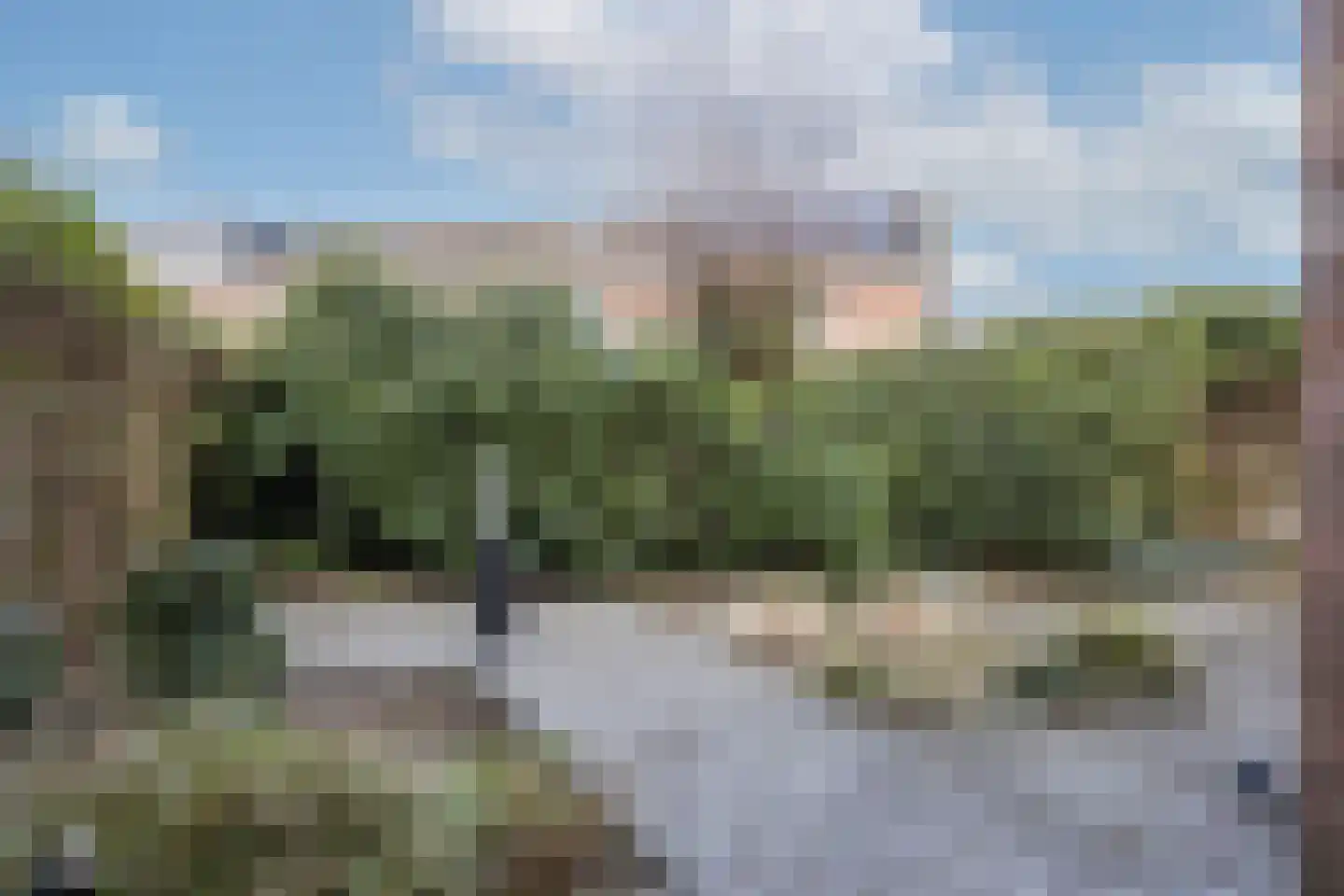 Cortenoeverseweg 21 Brummen thumbnail 22
