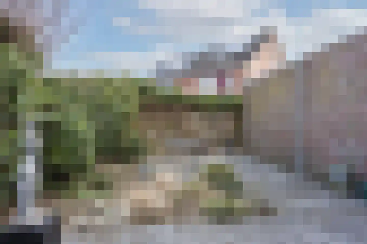 Cortenoeverseweg 21 Brummen thumbnail 23