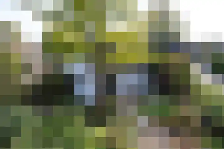 Cortenoeverseweg 23 Brummen thumbnail 33