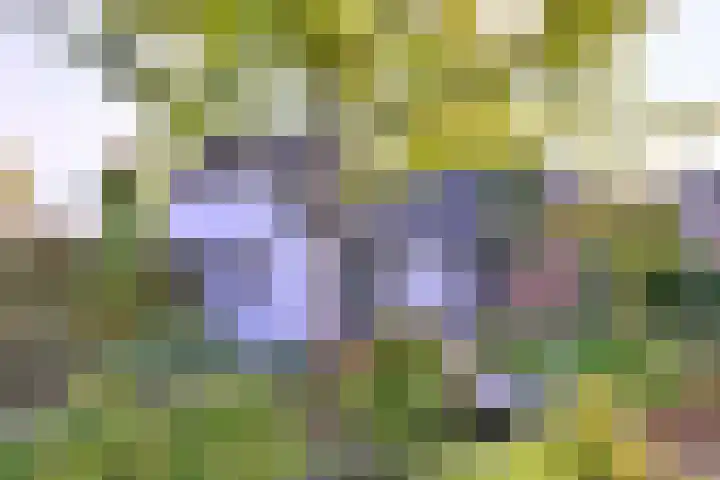 Cortenoeverseweg 23 Brummen thumbnail 34