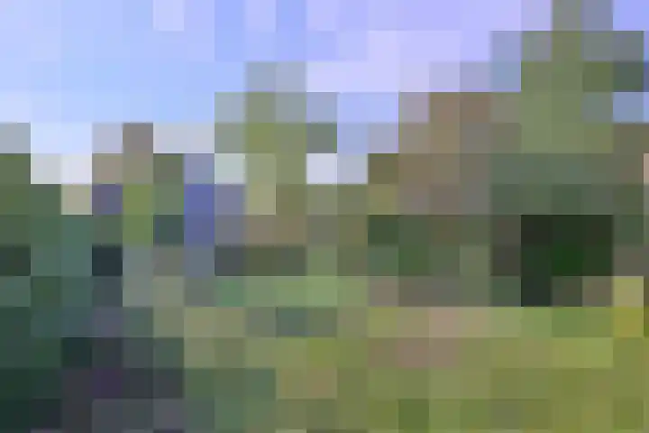 Cortenoeverseweg 23 Brummen thumbnail 35