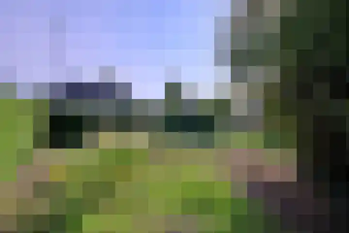 Cortenoeverseweg 23 Brummen thumbnail 36