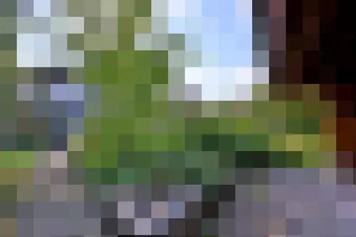 Cortenoeverseweg 23 Brummen thumbnail 37