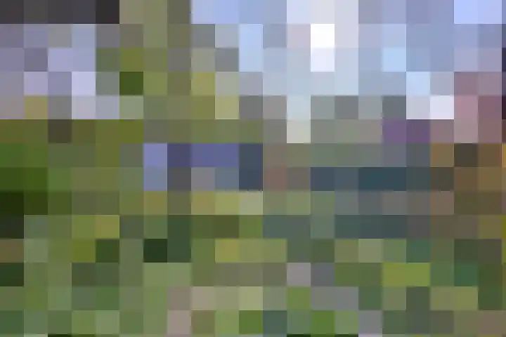 Cortenoeverseweg 23 Brummen thumbnail 40