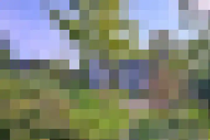 Cortenoeverseweg 23 Brummen thumbnail 41