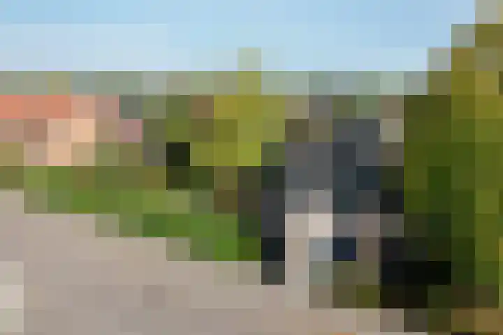 Cortenoeverseweg 23 Brummen thumbnail 43