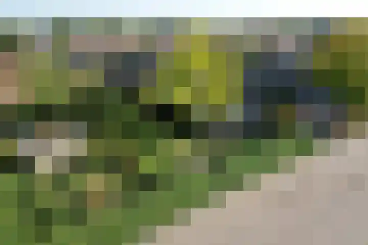 Cortenoeverseweg 23 Brummen thumbnail 44