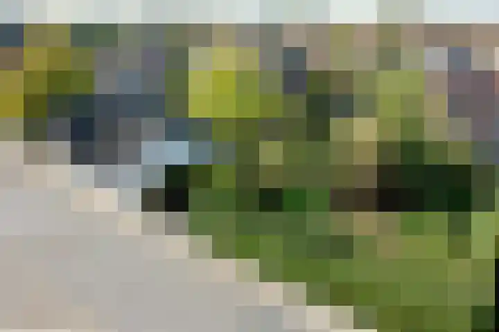 Cortenoeverseweg 23 Brummen thumbnail 45