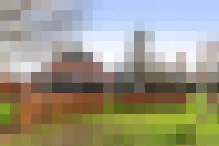 Cortenoeverseweg 32 Brummen thumbnail 40