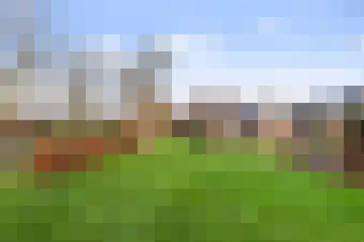 Cortenoeverseweg 32 Brummen thumbnail 42