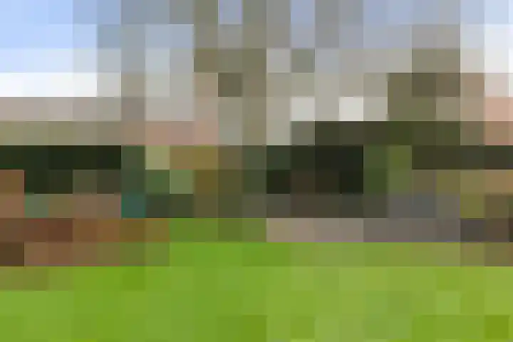 Cortenoeverseweg 32 Brummen thumbnail 43
