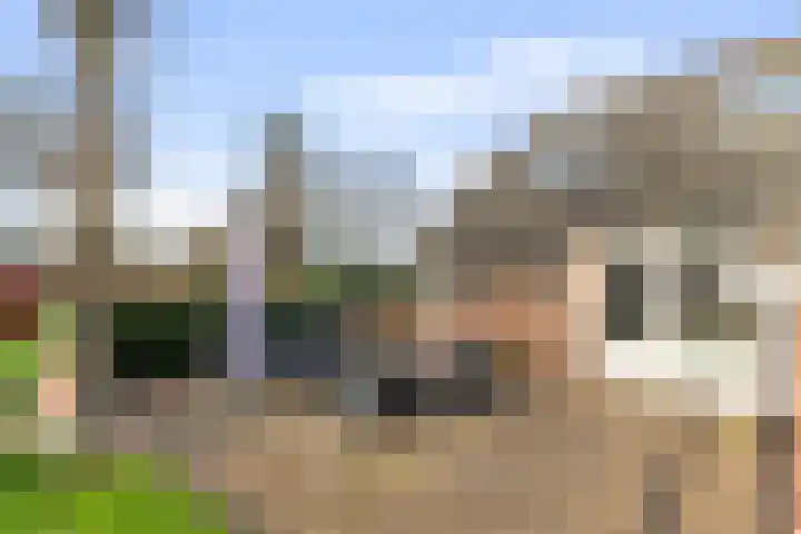 Cortenoeverseweg 32 Brummen thumbnail 44