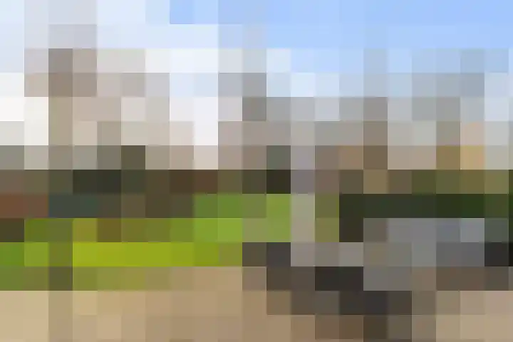 Cortenoeverseweg 32 Brummen thumbnail 45