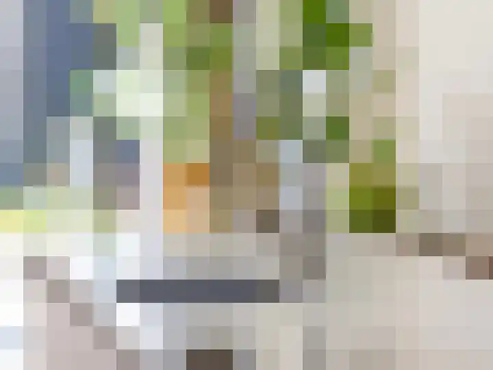 Cortenoeverseweg 6 Brummen thumbnail 15