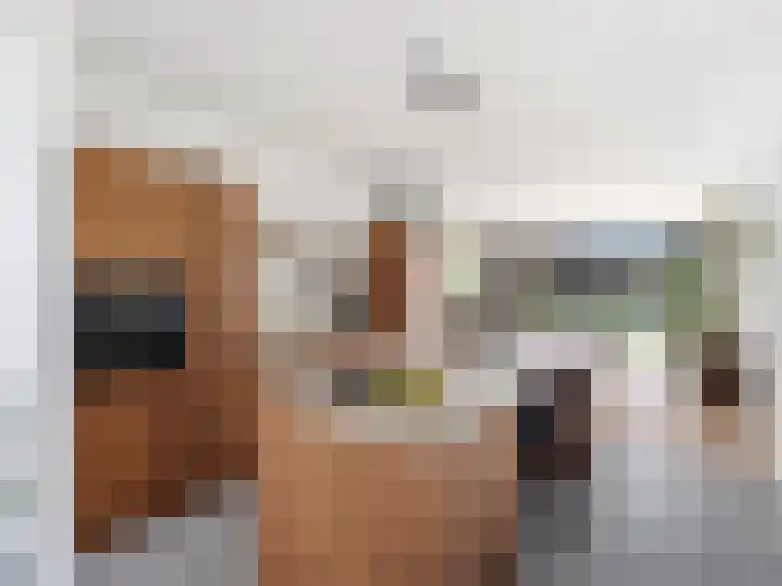 Cortenoeverseweg 6 Brummen thumbnail 19