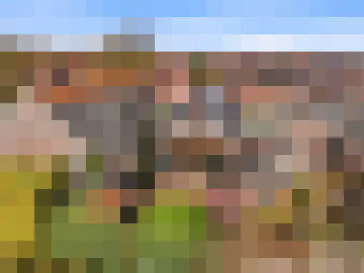 Cortenoeverseweg 6 Brummen thumbnail 40