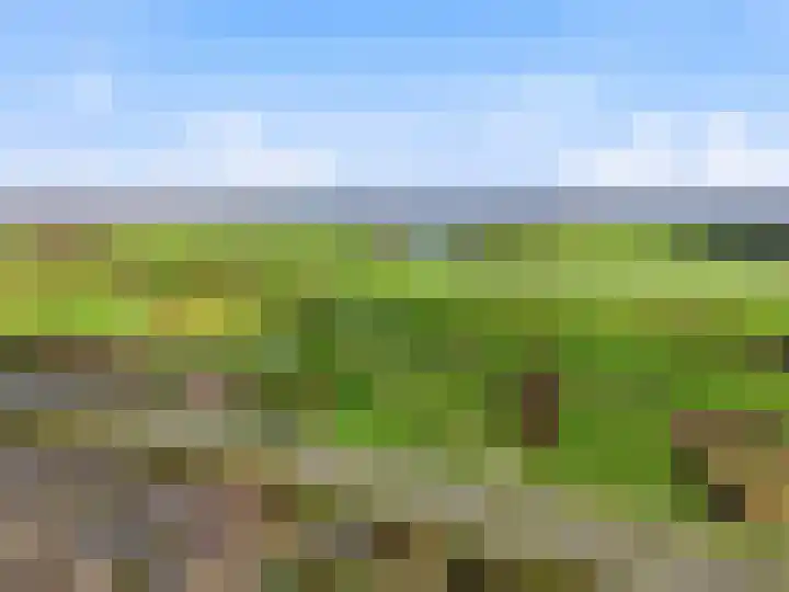 Cortenoeverseweg 6 Brummen thumbnail 47