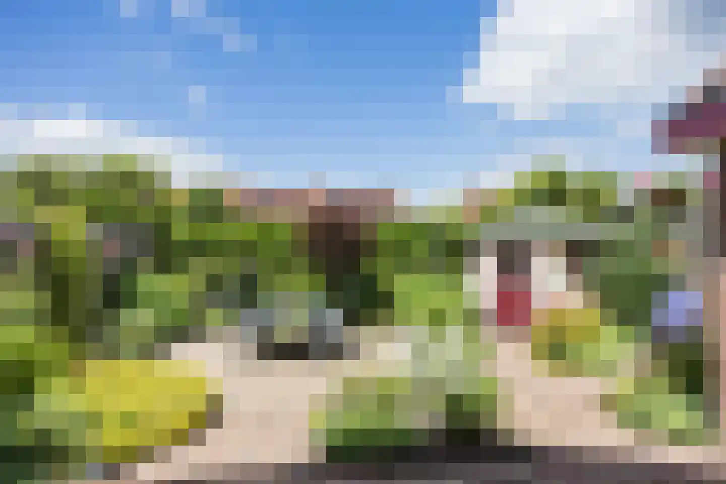 Cortenoeverseweg 9 Brummen thumbnail 19