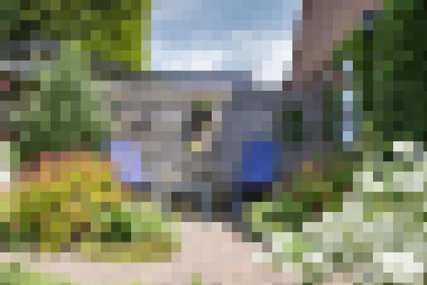 Cortenoeverseweg 9 Brummen thumbnail 21