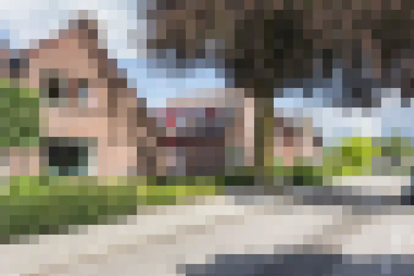 Cortenoeverseweg 9 Brummen thumbnail 24