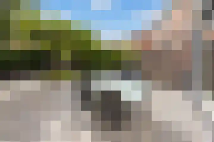 Corterhoven 56 Druten thumbnail 42